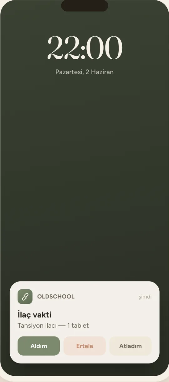 OldSchool screenshot 3